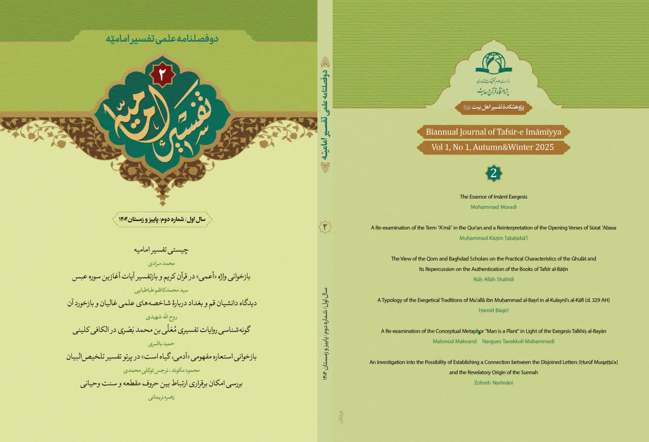 Imamiyya commentary